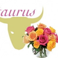 Taurus Romance