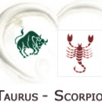 Taurus to Scorpio Compatibility
