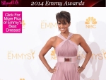 Halle Berry’s Emmys Dress 2014