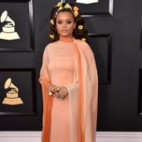 Best Red Carpet Looks From the 2017 Grammys