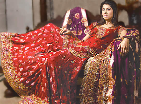 Deep Red & Purple gharara