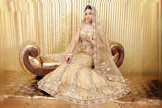 Gorgeous Net Lehenga Choli Design for Wedding