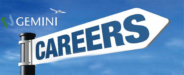 Gemini Career