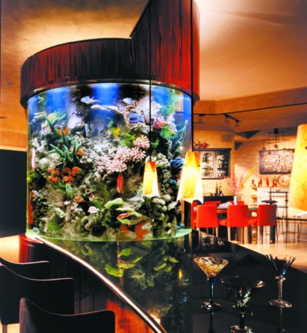 Elegant Creative magnificent Aquarium design