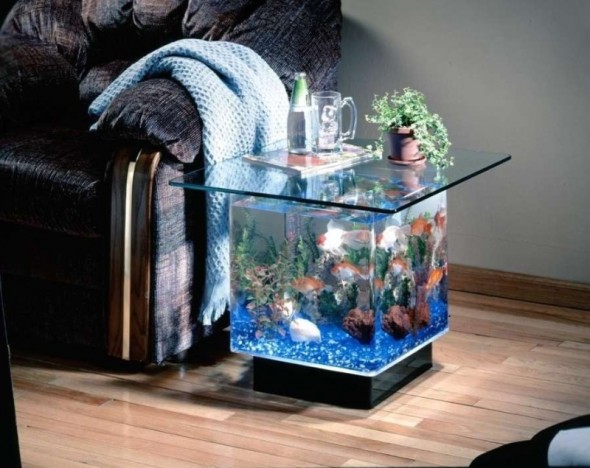 Multifunctional Aquarium Design