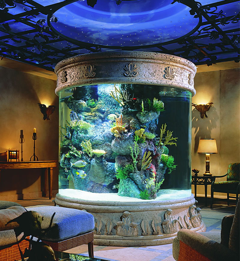 Outstanding Aquarium Design