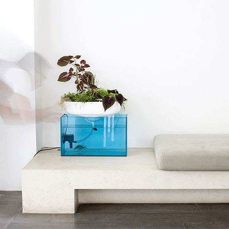 floating garden benjamin graininess duende studio aquarium