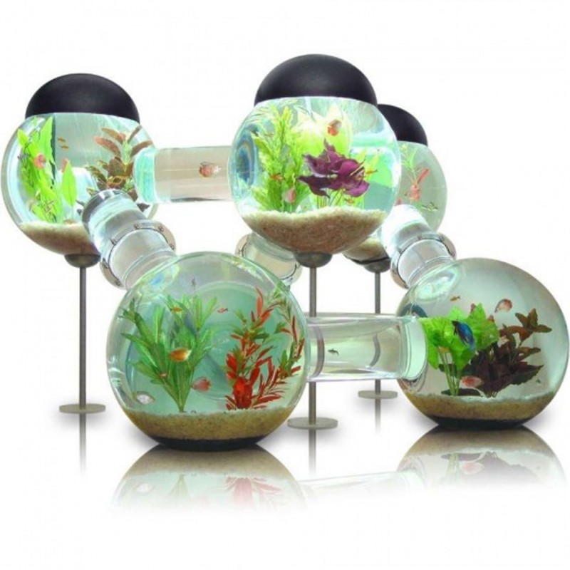 innovative Aquarium Designs
