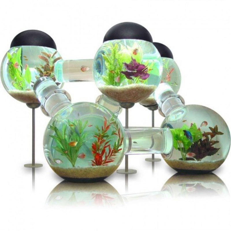 innovative Aquarium Designs innovative Aquarium Designs