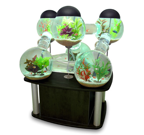 innovative aquarium