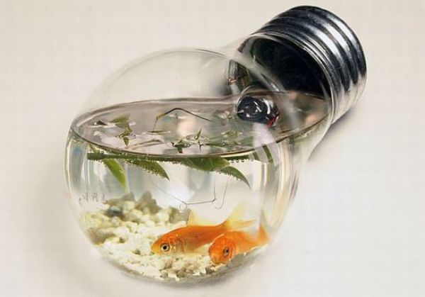 light bulb aquarium light bulb aquarium
