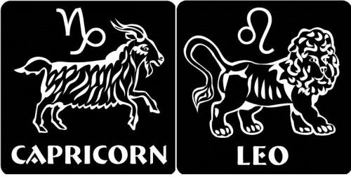 Capricorn - Leo Compatibility