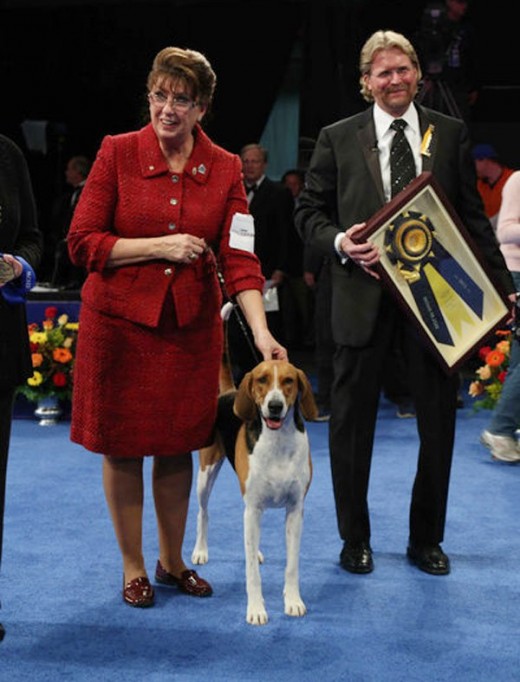 Nathan The Bloodhound Wins The 2014 National Dog Show