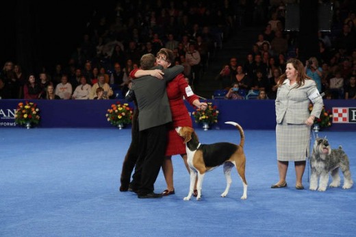 Nathan The Bloodhound Wins The 2014 National Dog Show