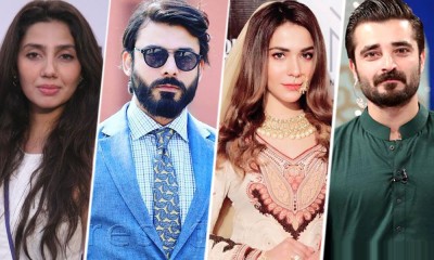 Legends of Maula Jutt 2